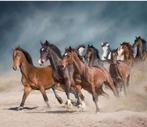 Paarden spullen gezocht, Dieren en Toebehoren, Ophalen of Verzenden, Overige soorten