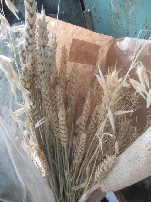 bosje DROOGBLOEMEN, neutrale kleur, Huis en Inrichting, Woonaccessoires | Droogbloemen, Zo goed als nieuw, Ophalen of Verzenden