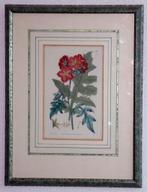 Originele Steendrukken in lijst, Antiek en Kunst, Kunst | Etsen en Gravures, Ophalen of Verzenden