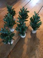 6 kleine dennenboompjes, Ophalen of Verzenden, Zo goed als nieuw