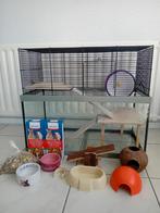 Ferplast Hamsterkooi Gabry Terrarium Met Tralies, Dieren en Toebehoren, Knaagdieren en Konijnen | Hokken en Kooien, Kooi, Gebruikt