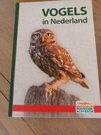 Vogels boek, Ophalen of Verzenden, Nieuw, Vogels