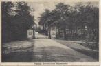 Appelscha (Frl.) Ingang Sanatorium, gelopen 1931, Ophalen of Verzenden, 1920 tot 1940, Gelopen, Friesland