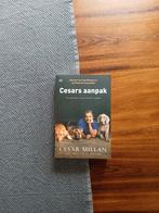 Cesar Millan - Cesars aanpak, Boeken, Dieren en Huisdieren, Ophalen of Verzenden, Honden, Cesar Millan