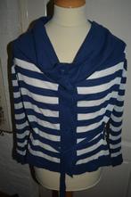 Adolfo Dominguez, leuk sportief streep vest, maat (X)S, Blauw, Ophalen of Verzenden, Zo goed als nieuw, Adolfo Dominguez