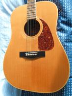 Fender F-260S, acoustische gitaar, Ophalen, Gebruikt, Western- of Steelstringgitaar