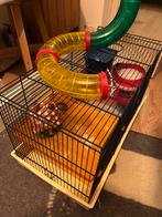 Hamster kooi, Dieren en Toebehoren, Kooi, Minder dan 75 cm, Minder dan 60 cm, Gebruikt
