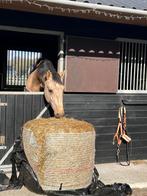 Midibalen voordroog  kuil, Dieren en Toebehoren, Dierenvoeding, Ophalen, Vee