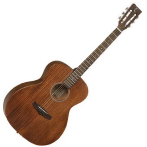 Guitar Tanglewood TW 130 ASM + GIGBAG, Diensten en Vakmensen, Muziekles en Zangles, Snaarinstrumenten