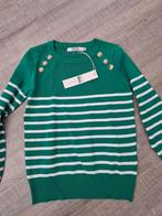 Gestreepte trui, Ophalen of Verzenden, Nieuw