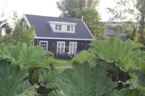 Tijdelijke verhuur LUXE vakantiewoning, Huizen en Kamers, Huizen te huur, Zuid-Holland, Vrijstaande woning, Direct bij eigenaar