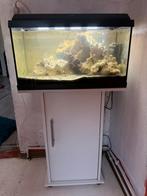 Zeewater aquarium, Ophalen of Verzenden, Zo goed als nieuw, Leeg aquarium