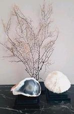Mooie set Natuurlijke woondecoratie luxe op voet, Nieuw, Ophalen of Verzenden, X, X