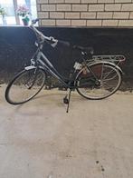 Batavus Damesfiets, Ophalen, Versnellingen, Batavus, 53 tot 56 cm