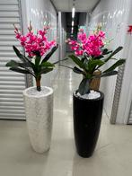 Nieuwe colectie schelpenvazen/bloesem, Huis en Inrichting, Ophalen of Verzenden, Zo goed als nieuw