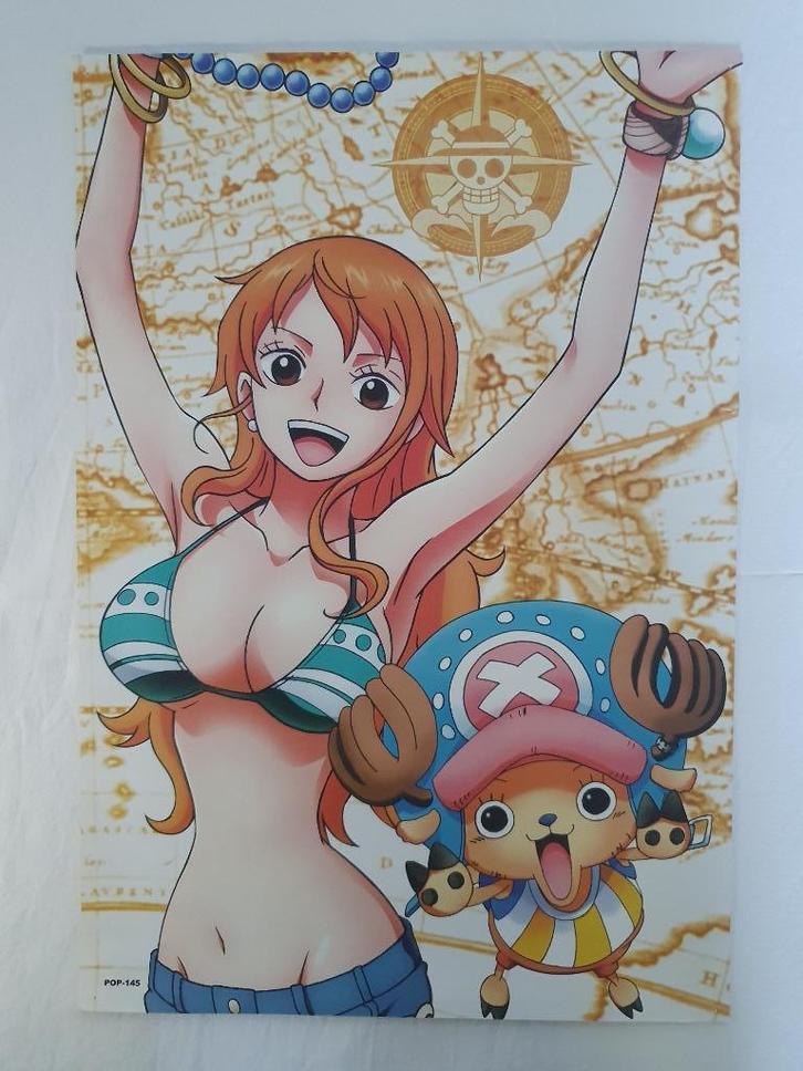 poster van One Piece, Nami en Tony Tony, Verzamelen, Posters, Nieuw, Film en Tv, A1 t/m A3, Rechthoekig Staand, Ophalen of Verzenden