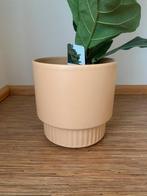 Zgan bloempot Gina Da geel, 25cm, 25 tot 40 cm, Rond, Ophalen of Verzenden, Zo goed als nieuw