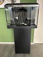 Juwel primo 70L - met konings spectrum verlichting 8mnd oud!, Dieren en Toebehoren, Vissen | Aquaria en Toebehoren, Ophalen, Zo goed als nieuw