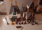 Lego 76388 Zweinsveld dorpbezoek, Kinderen en Baby's, Speelgoed | Duplo en Lego, Ophalen of Verzenden, Zo goed als nieuw