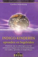 Indigo kinderen opvoeden en begeleiden, Ophalen of Verzenden, Zo goed als nieuw, Spiritualiteit algemeen, Achtergrond en Informatie
