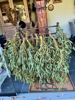Eucalyptus gedroogd, Ophalen, Zo goed als nieuw