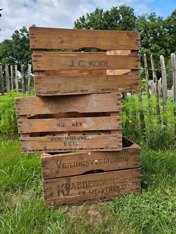 Fruitkisten vintage  beschikbaar voor biedingen