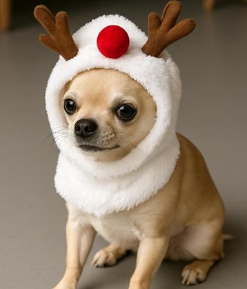 Reindeer Christmas Costume Cape for Pets – Soft Plush – One  beschikbaar voor biedingen