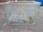 Aquariumbak, Dieren en Toebehoren, Vissen | Aquaria en Toebehoren, Ophalen, Gebruikt, Leeg aquarium