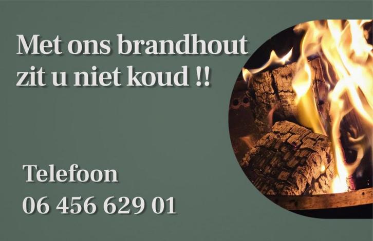 Haardhout  Eiken Beuken droog  brandhout bezorgen mogelijk, Tuin en Terras, Haardhout, Blokken, Overige houtsoorten, 6 m³ of meer
