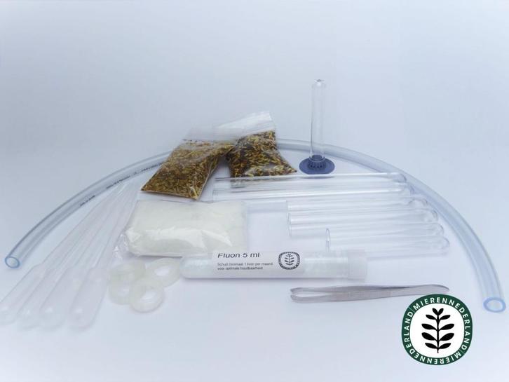 ZAADETERS STARTER SET VOOR MIEREN | MESSOR | OOGSTMIER, Dieren en Toebehoren, Insecten en Spinnen, Bijen