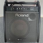 ROLAND PM-200, Muziek en Instrumenten, Ophalen of Verzenden, Minder dan 500 watt