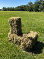 Mooi hooi weidehooi baaltjes hooibalen, Dieren en Toebehoren, Meerdere dieren, Schaap