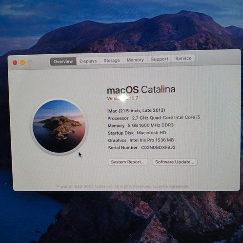iMac 21.5-inch Late 2013 - Catalina, Computers en Software, Apple Desktops, Gebruikt, iMac, HDD, 2 tot 3 Ghz, Ophalen