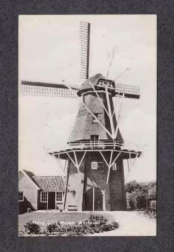 Norg Drenthe Molen Westeind. beschikbaar voor biedingen