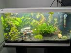 Mooi aquarium 60x30x30, Dieren en Toebehoren, Vissen | Aquaria en Toebehoren, Ophalen of Verzenden, Zo goed als nieuw, Leeg aquarium