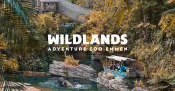 Ticket Wildlands t/m 31 juli 2025 beschikbaar voor biedingen