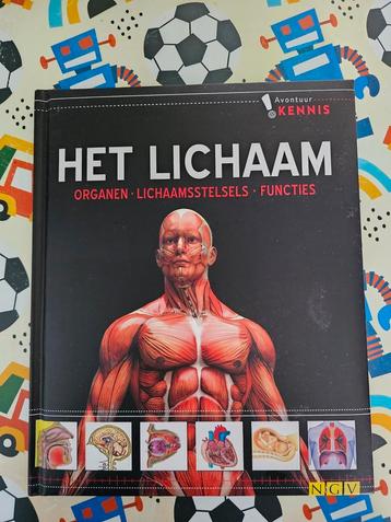 Het Lichaam  beschikbaar voor biedingen
