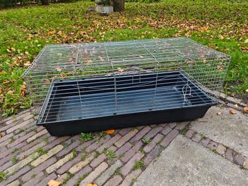 Konijnenkooi / Caviakooi 118x60x52 beschikbaar voor biedingen