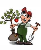 Tuinman gezocht? Zoek niet verder, Tuin en Terras, Ophalen of Verzenden