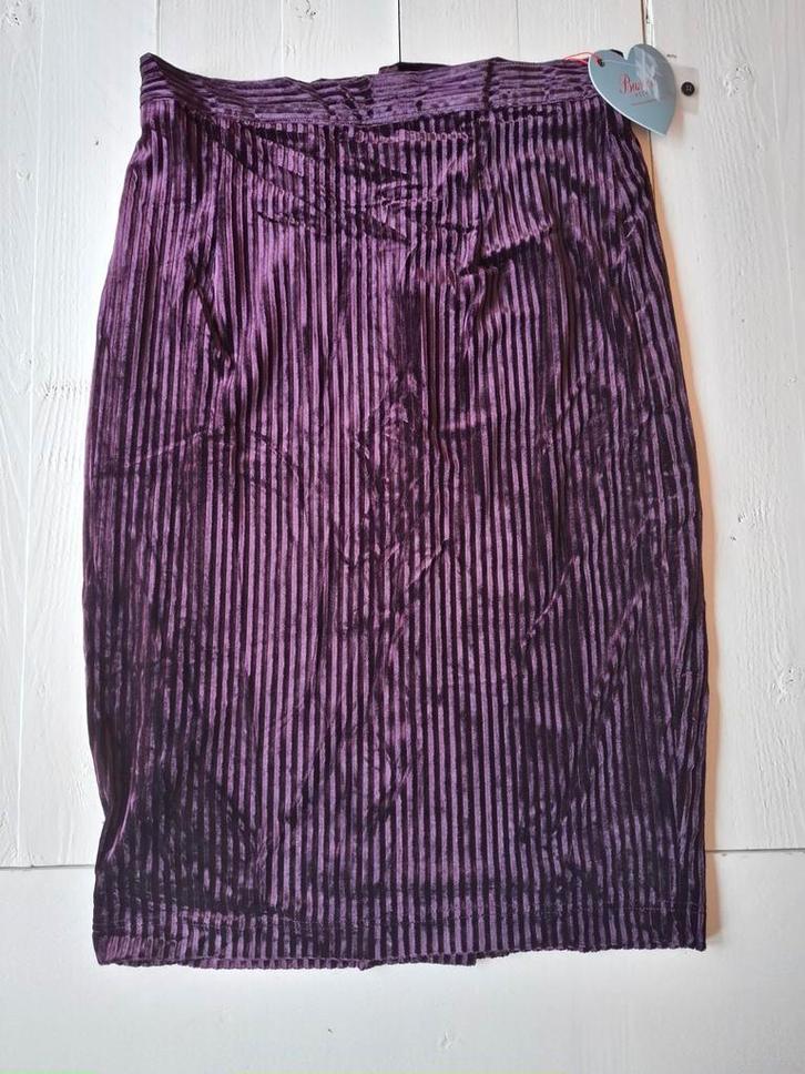 Banned velvet rok paars maat L (40) nieuw, Kleding | Dames, Rokken, Nieuw, Maat 38/40 (M), Paars, Onder de knie, Ophalen of Verzenden