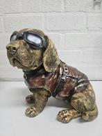 DECORATIE BEELD HOND , BRIL , DIER ,VLIEGENIER  , LEER, Ophalen of Verzenden, Nieuw, Hond of Kat