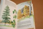 Bomen. Buitengids., Ophalen of Verzenden, Gelezen, Bloemen, Planten en Bomen