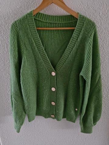 VEST STUDIO ANNELOES SA appel groen M 38 40 warm sportief  beschikbaar voor biedingen