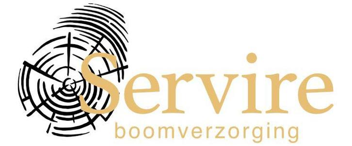 Stormschade? Bomen snoeien kappen controleren Helmond eo, Diensten en Vakmensen, Tuinmannen en Stratenmakers, Tuinonderhoud of Snoeiwerk