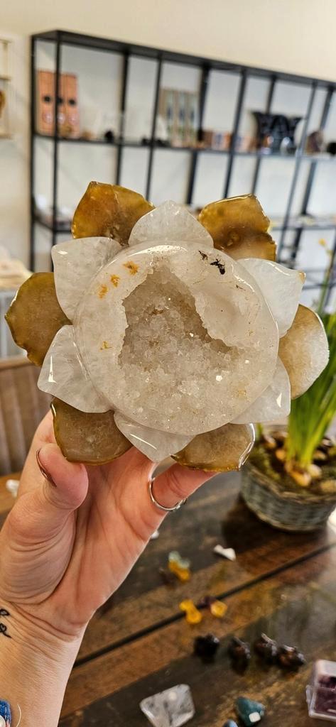 Grote Agaat lotusbloem, Verzamelen, Mineralen en Fossielen, Mineraal, Ophalen of Verzenden