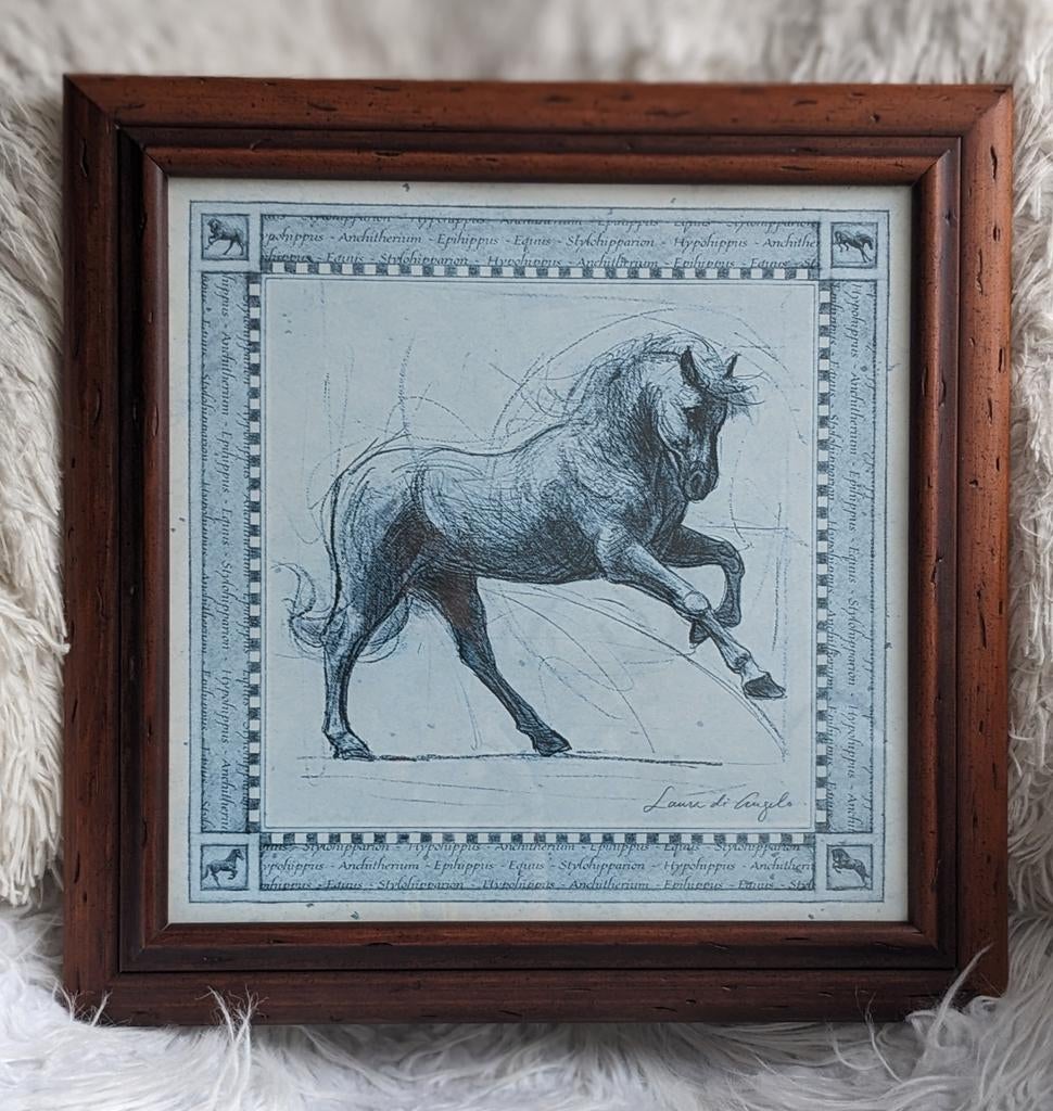 Tekening Paard door Laura di Angelo, Ophalen of Verzenden