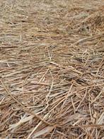 balen hooikuil voor paard pony jongvee etc, Ophalen, Vee