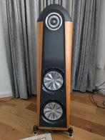 Thiel CS 3.7, Audio, Tv en Foto, Luidsprekers, Zo goed als nieuw, 120 watt of meer, Front, Rear of Stereo speakers, Ophalen