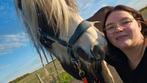 Gezocht instructeur, Dieren en Toebehoren, Paarden en Pony's | Overige Paardenspullen, Ophalen of Verzenden