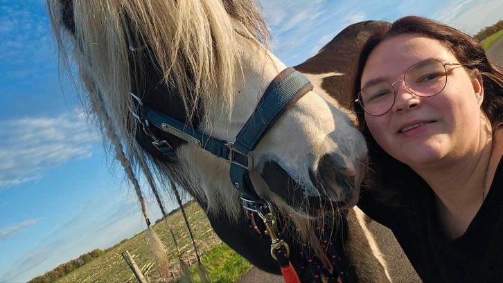 Gezocht instructeur, Dieren en Toebehoren, Paarden en Pony's | Overige Paardenspullen, Ophalen of Verzenden